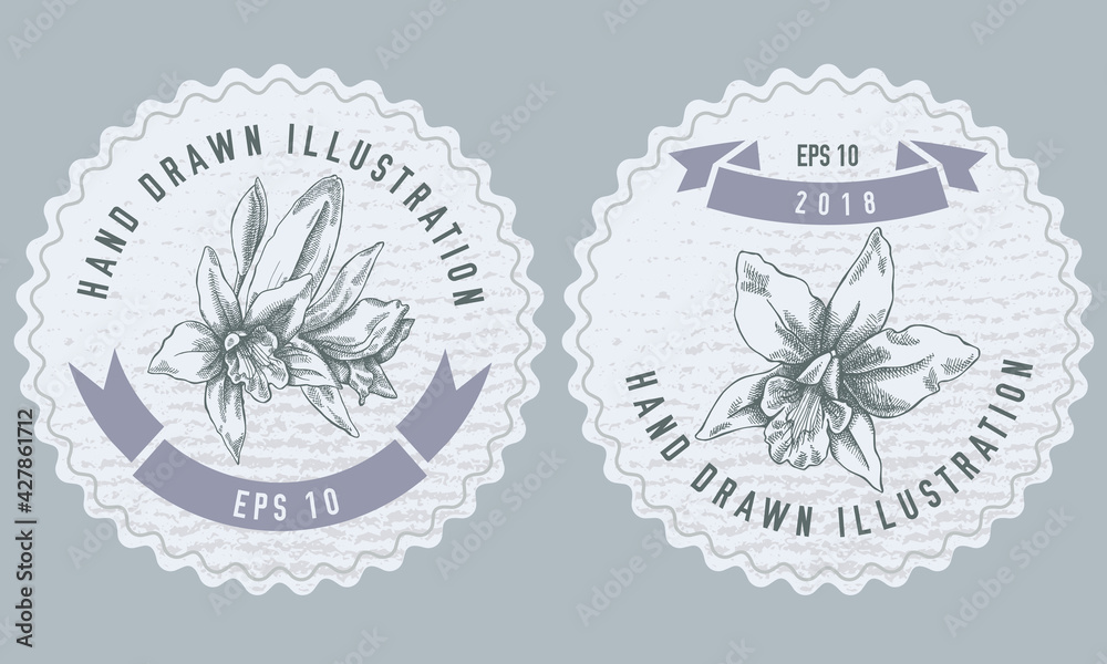 Monochrome labels design with illustration of laelia