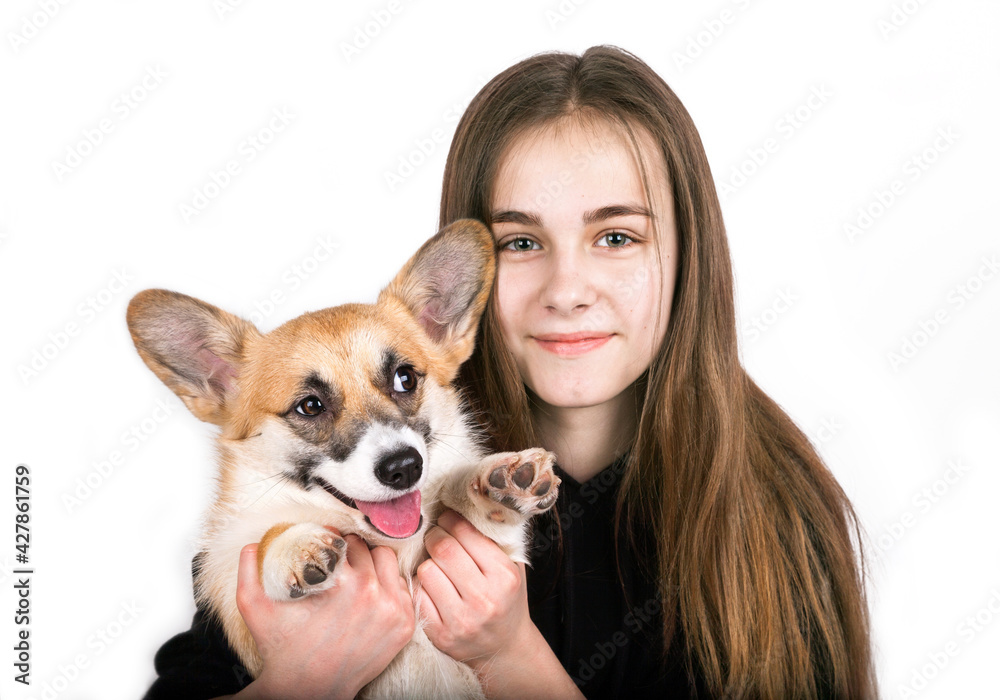 Caucasian teenage girl with corgi dog puppy