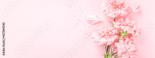 Fotografia Pink carnations on pink background