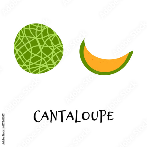 Vector illustration of cantaloupe in hand drawn flat style.