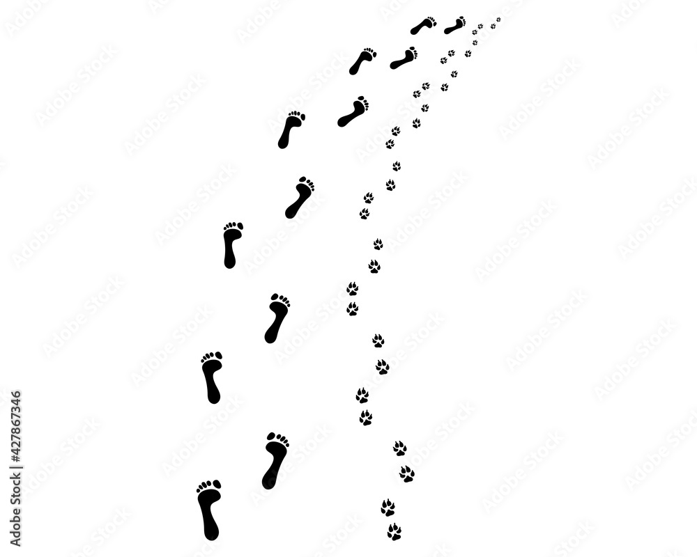 Footprints of bare feet and paws dog, turn right Footprints of bare feet and paws dog, turn right