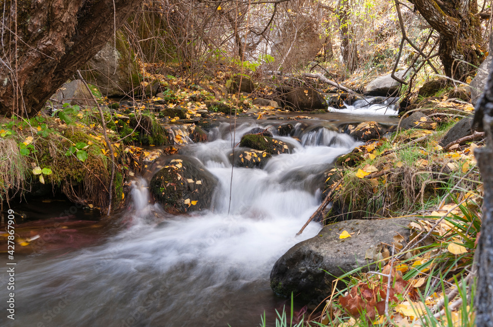 Fototapeta premium Rápidos de un río en otoño