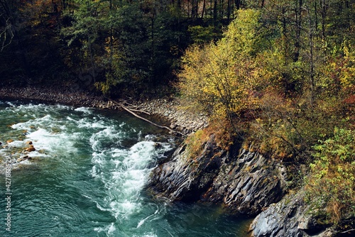 Fotografie mountains in the forest autumn river landscape nature fresh air