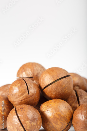 Macadamia in the shell. Macadamia nuts in shell on a white background.