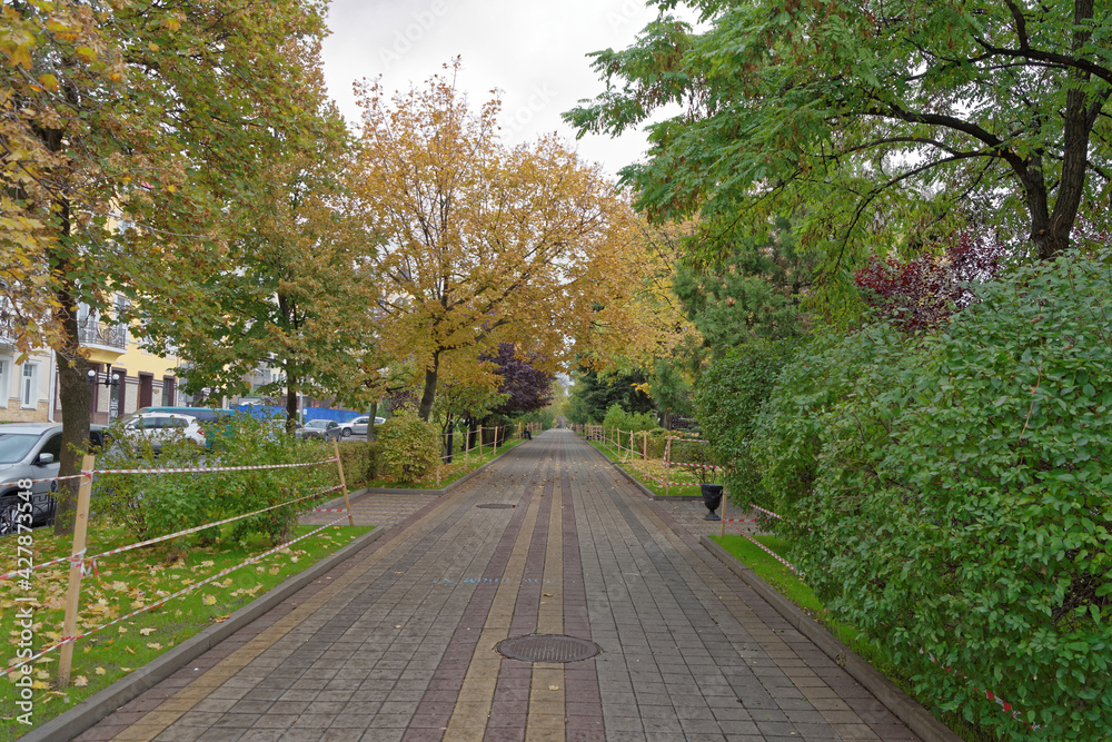 Obraz premium Pushkinskaya Street in autumn day. On the street there are cars