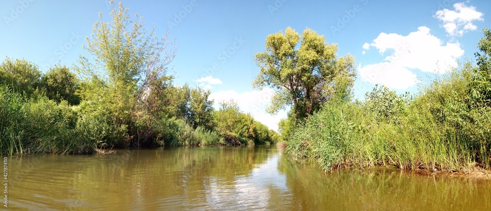 beautiful river landscape in summer