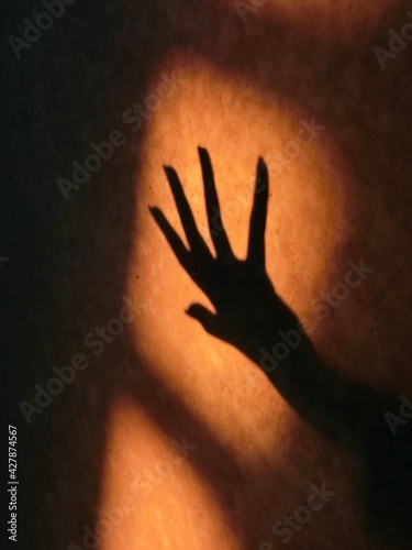 the shadow of hand