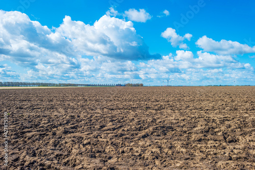 Furrows in an agricultural field in a rural area below a blue bright cloudy sky in spring, Almere, Flevoland, The Netherlands, April 13, 2021