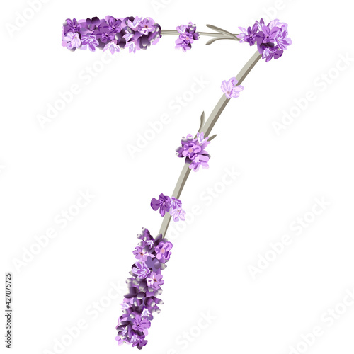 Fototapeta Naklejka Na Ścianę i Meble -  vector image of the number 7 in the form of lavender sprigs in bright purple colors