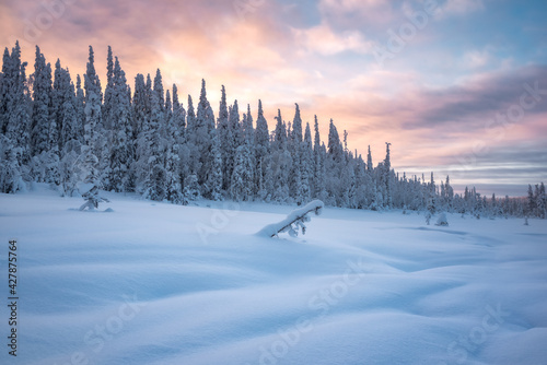 Evening in Paanajärvi National Park. Snow-covered landscape in the vicinity of Mount Kivakka. © Andrei Baskevich
