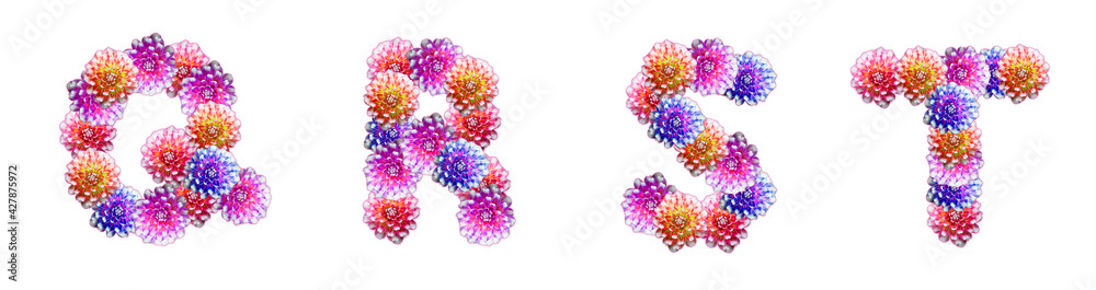 Letters Q, R, S, T made of peony flowers Letters Q, R, S, T made of peony flowers