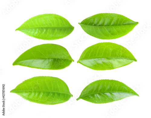 tea leaves on a white background