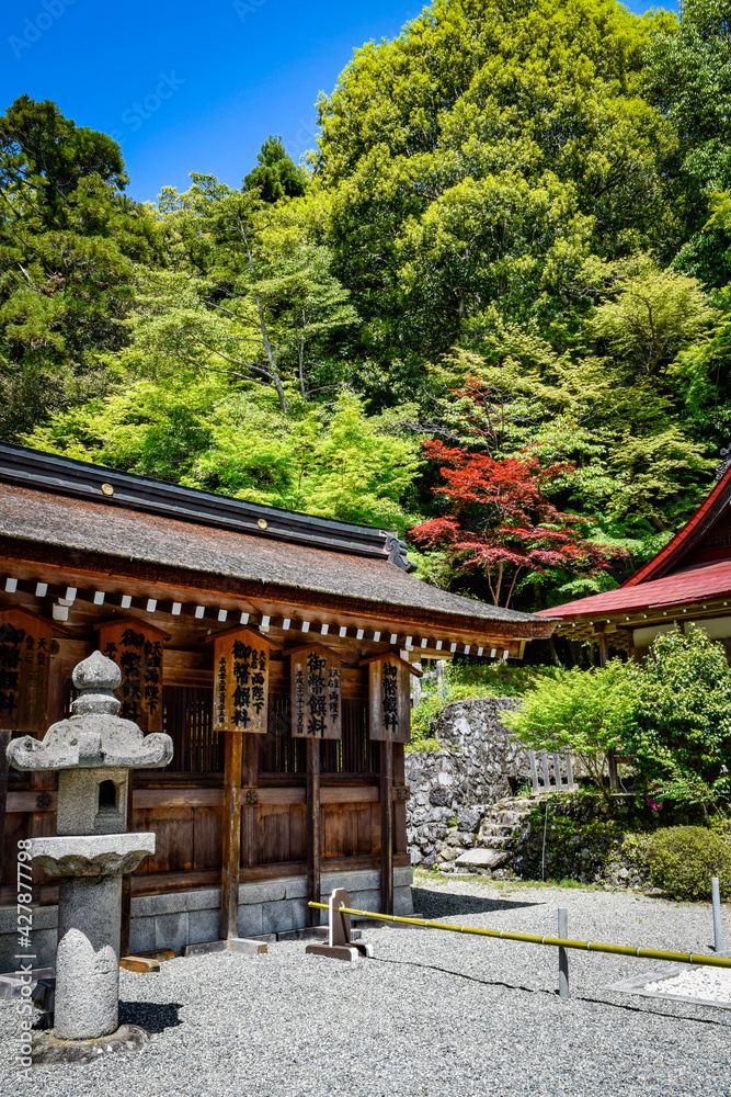 亀岡、出雲大神宮・大八洲國國神社周辺の情景