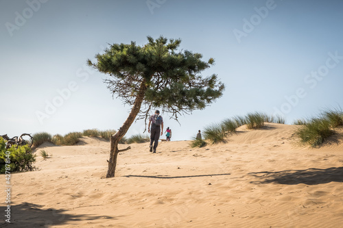 person walking in the dunes