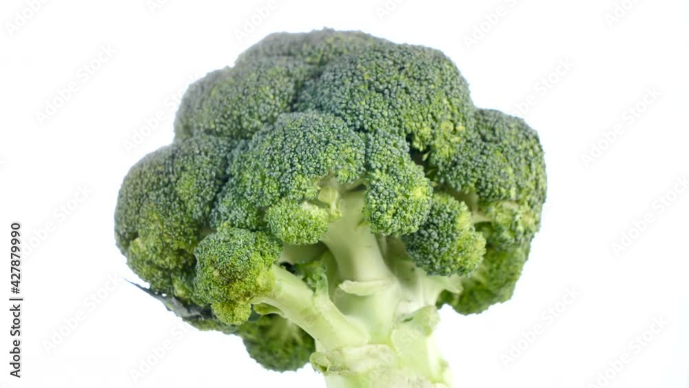 broccoli broccoli