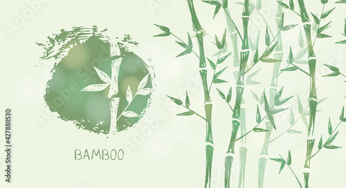 Bamboo tree. Hand drawn style. Vector illustrations.	
