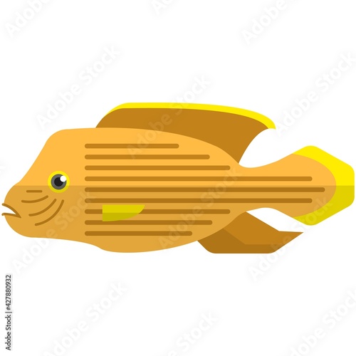 Vector Acara aquarium fish species illustration on white
