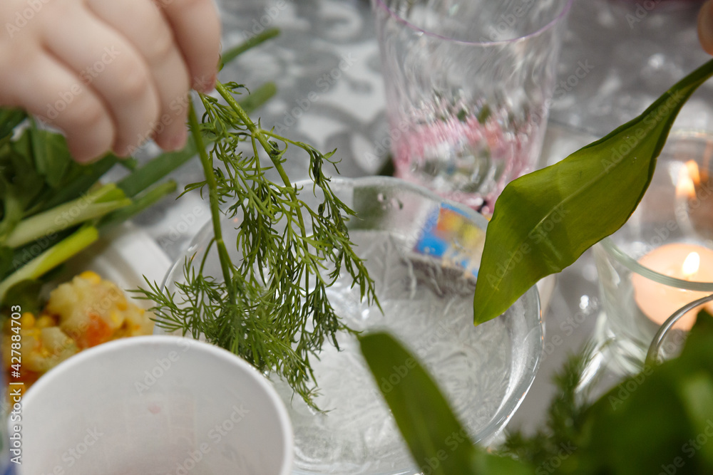 Bitter herbs at the Passover Seder. A mokanina of bitter herbs in salt
