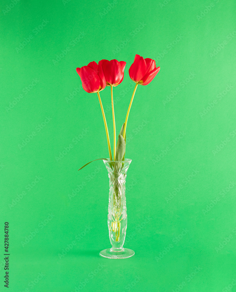 Obraz premium fresh red tulips whith green leaves in the vase on bright green background. aesthetic art. minimal summer background