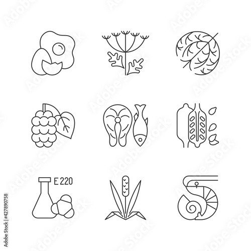 Allergy danger linear icons set. Queen Anne lace. Dry tumbleweed. Timothy grass. Chemical sulphites. Customizable thin line contour symbols. Isolated vector outline illustrations. Editable stroke