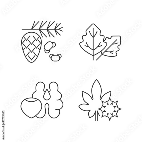 Cause of allergic reaction linear icons set. Cedar and pine tree pollen. Tree nuts. Castor bean. Customizable thin line contour symbols. Isolated vector outline illustrations. Editable stroke