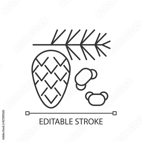 Cedar and pine tree pollen linear icon. Branch with needles, fir cone. Allergy for plant. Thin line customizable illustration. Contour symbol. Vector isolated outline drawing. Editable stroke