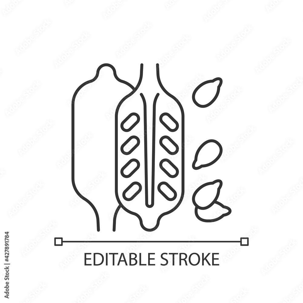 Sesame linear icon. Food ingredient, cooking seasoning. Nutritious additives. Common allergen. Thin line customizable illustration. Contour symbol. Vector isolated outline drawing. Editable stroke
