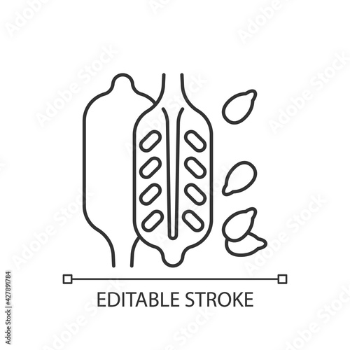 Sesame linear icon. Food ingredient, cooking seasoning. Nutritious additives. Common allergen. Thin line customizable illustration. Contour symbol. Vector isolated outline drawing. Editable stroke