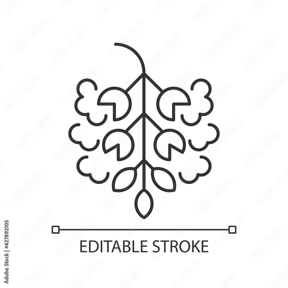 Poplar tree pollen linear icon. Cottonwood plant. Cause of allergic