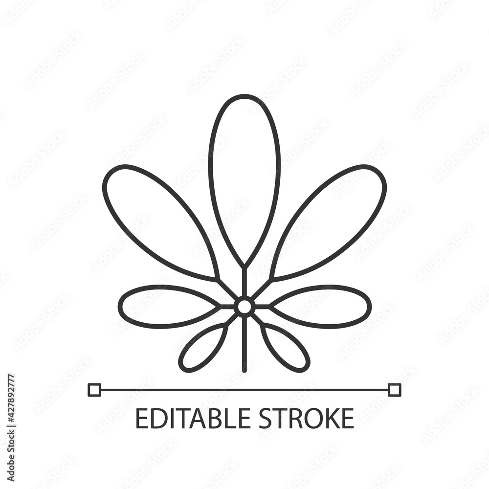 Schefflera linear icon. Flowering plant. Tropical leaf. Umbrella tree. Exotic foliage. Thin line customizable illustration. Contour symbol. Vector isolated outline drawing. Editable stroke Schefflera linear icon. Flowering plant. Tropical leaf. Umbrella tree. Exotic foliage. Thin line customizable illustration. Contour symbol. Vector isolated outline drawing. Editable stroke