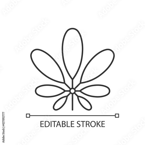 Schefflera linear icon. Flowering plant. Tropical leaf. Umbrella tree. Exotic foliage. Thin line customizable illustration. Contour symbol. Vector isolated outline drawing. Editable stroke