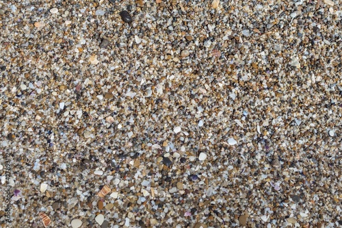 Top view of round flat colorful pebbles, sand and seashells, wet by sea waves. Natural marine pattern, half part of the frame blurred under water. Fresh summer holiday inspiration, relaxation mood.