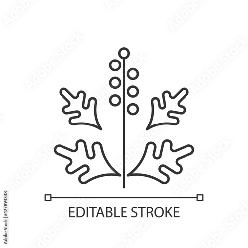 Ragweed pollen linear icon. Blooming ambrosia. Cause of allergic reaction. Allergy for plant. Thin line customizable illustration. Contour symbol. Vector isolated outline drawing. Editable stroke