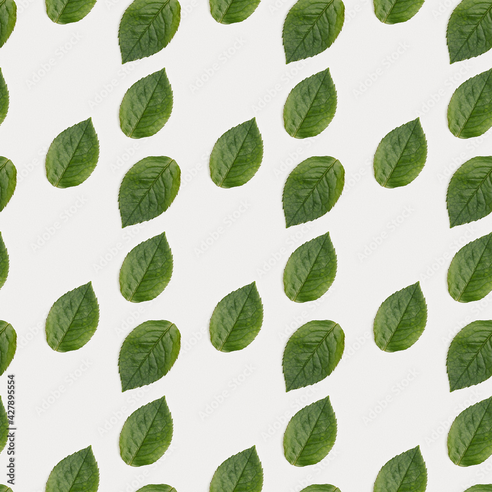 Pattern with green heart shaped leaf on white paper background. Love nature concept. Pattern with green heart shaped leaf on white paper background. Love nature concept.