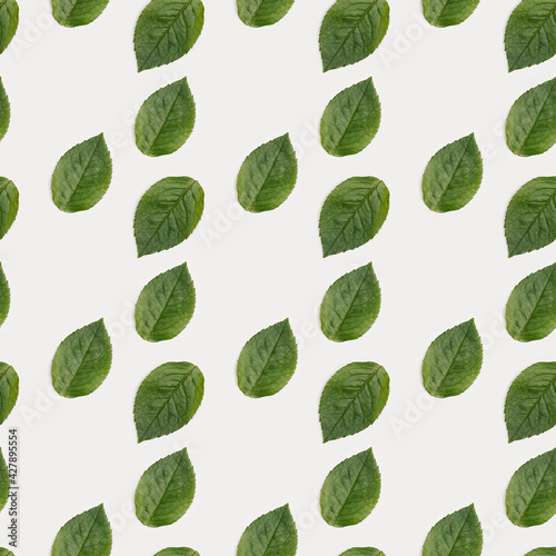 Pattern with green heart shaped leaf on white paper background. Love nature concept. © yrabota