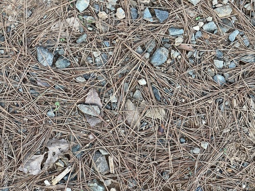 texture