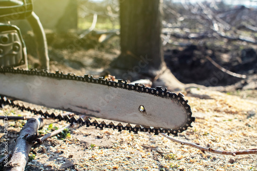 The chainsaw lies near a felled tree. Close-up of the tool. The concept of felling trees, harvesting firewood and deforestation. Woodworking industry