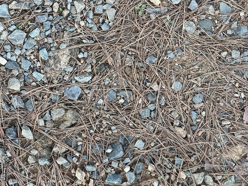 texture