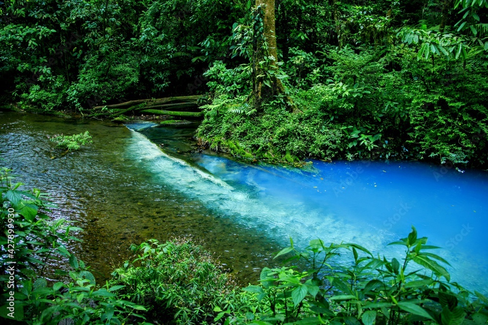 Rio Celeste dans le parc national Tenorio au Costa Rica