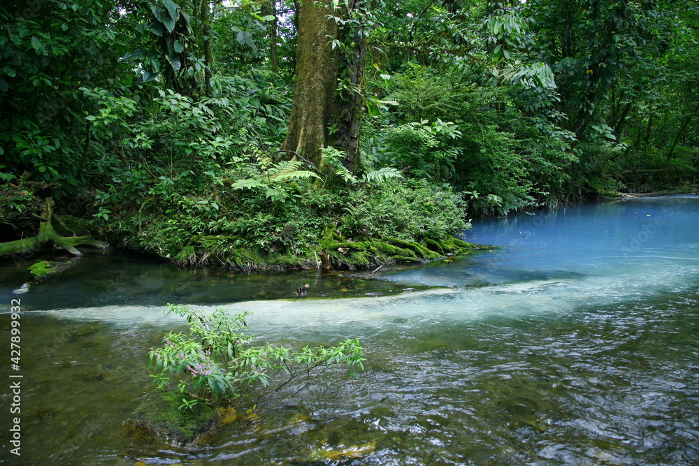Rio Celeste dans le parc national Tenorio au Costa Rica Rio Celeste dans le parc national Tenorio au Costa Rica