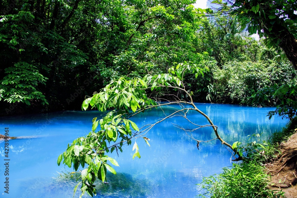 Rio Celeste dans le parc national Tenorio au Costa Rica
