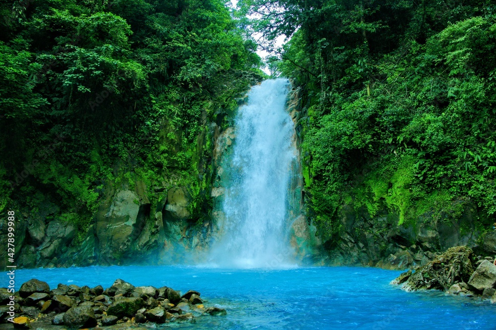 Rio Celeste dans le parc national Tenorio au Costa Rica
