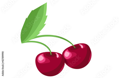 Two berries of a cherry on a branch with a leaf. White background. Isolated cherry. vector EPS