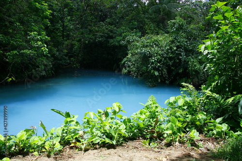 Obraz na płótnie Rio Celeste dans le parc national Tenorio au Costa Rica w salonie