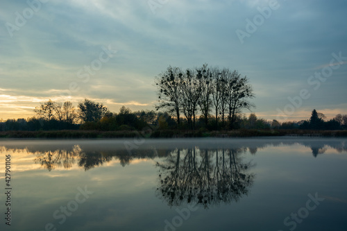 Mirror reflection of trees in a misty lake