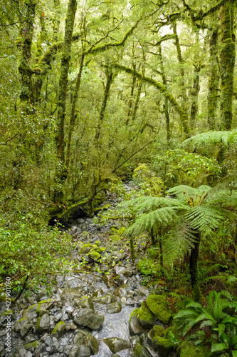 Around Lake Gunn