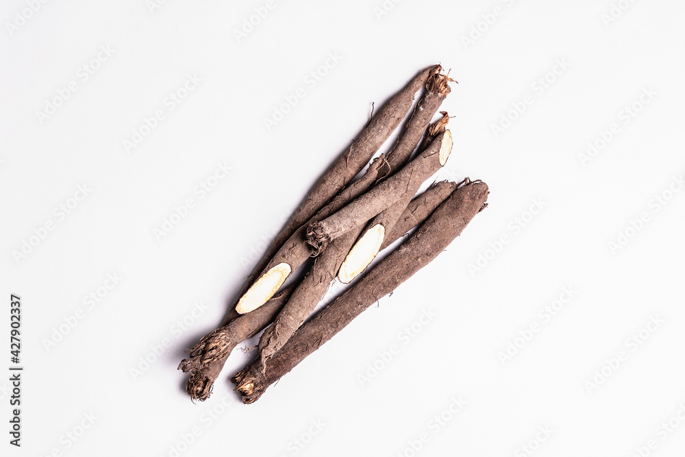 Raw Scorzonera or Spanish salsify isolated on white background Raw Scorzonera or Spanish salsify isolated on white background