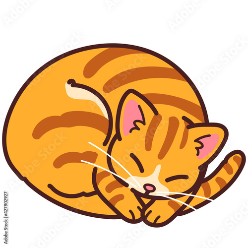 Fototapeta Naklejka Na Ścianę i Meble -  Simple and adorable Orange Tabby cat sleeping outlined