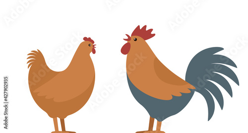 Set of domestic birds from the farm. Rooster and hen. template for the poultry farm.