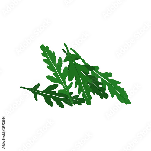 Hand-drawn arugula salad. Vector illustration isolated on the white background. Healthy food concept